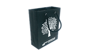 Подарочный бумажный пакет с нанесением изображения и логотипа методом шелкографии